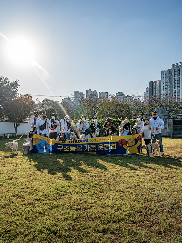 구조동물 보호 활동